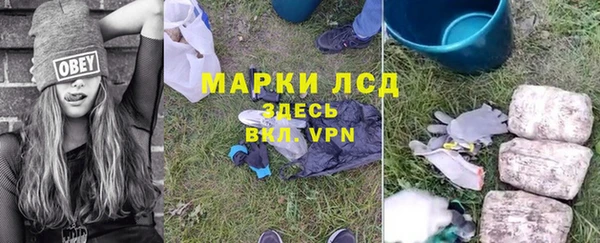 стафф Богородск