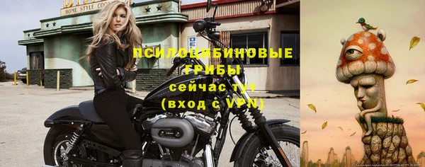 прущие крисы Семикаракорск
