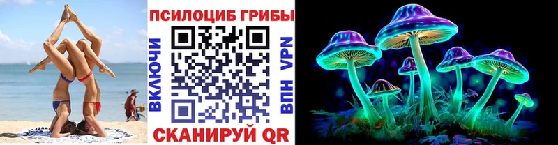 Псилоцибиновые грибы прущие грибы  Чкаловск 